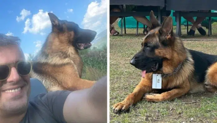 Svi se sprdaju sa Sergejem i psom Milom, glumac je Svi Se Sprdaju Sa Sergejem I Psom Milom Glumac Je