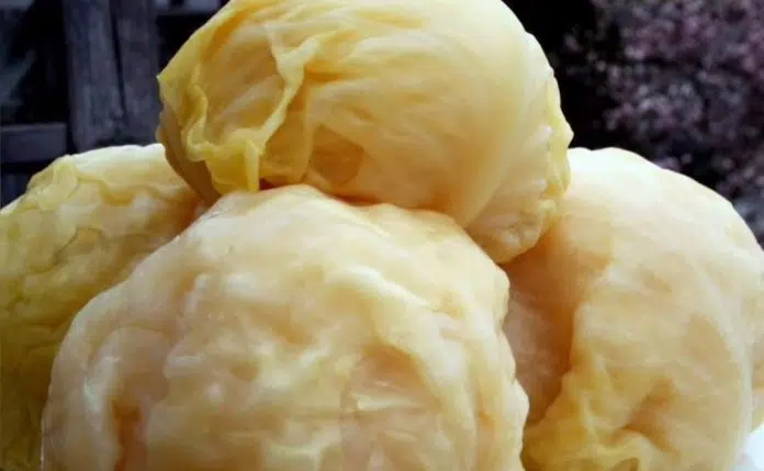 Kako Se Kiseli Kupus Ovaj Recept Uspijeva I Pocetnicima