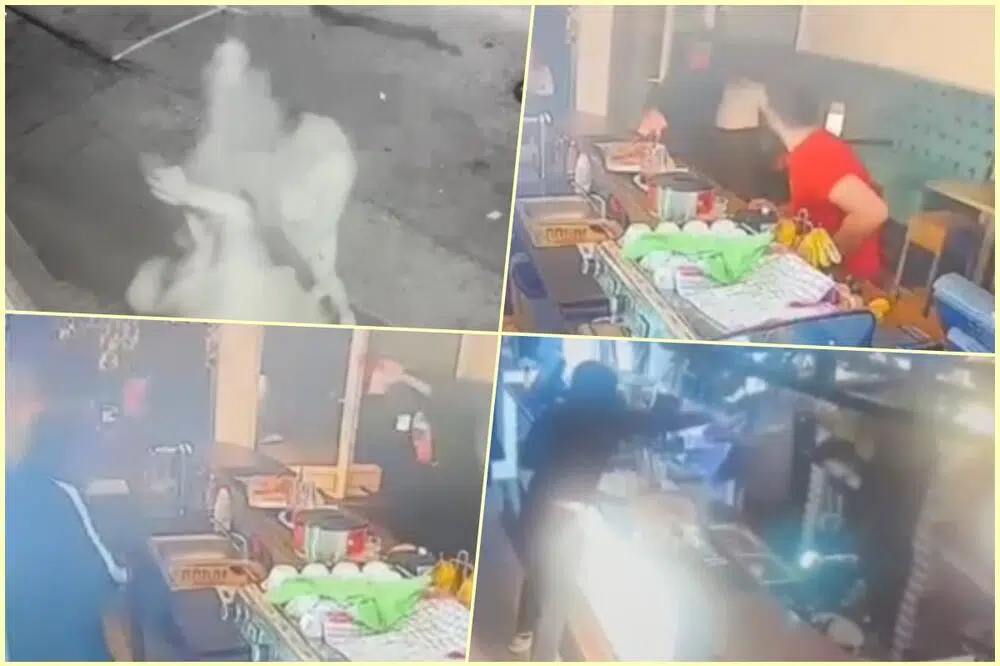 OBJAVLJEN VIDEO NAPADA NA VLASNIKA I OSOBLJE KAFIĆA: ČAŠA U GLAVU, PA ONDA NOŽ