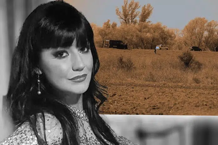 Zasto Je Likvidirana Jelena Marjanovic Detektivka Iznijela Sokantne Tvrdnje