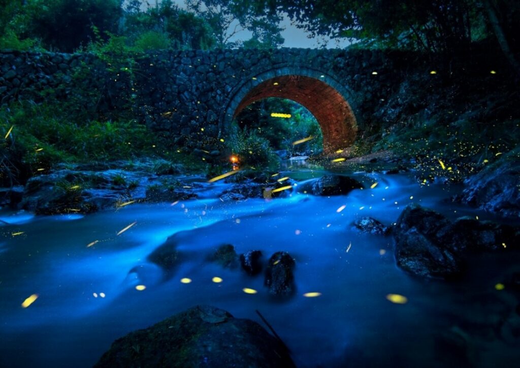 zhang wei china
