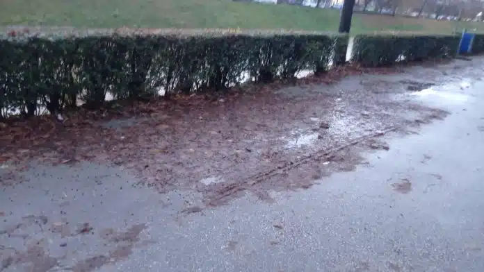 1701274131 Sarajka Se Okliznula Na Lisce I Slomila Ruku Trazi Se