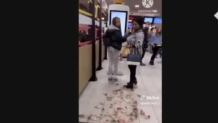 Aktivisti U Engleskoj Pustili U Mcdonalds Miseve Obojene Bojama Palestine