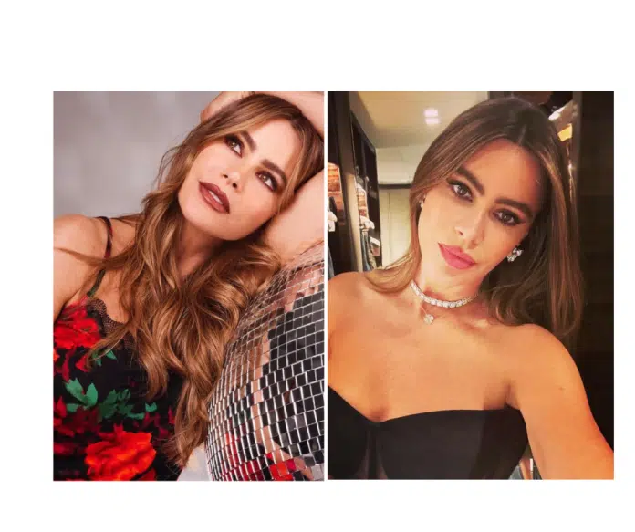 Sofia Vergara Progovorila O Razvodu Iza Mene Je Vrlo Teska