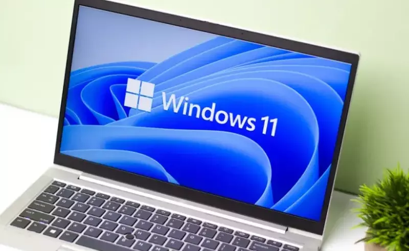 windows 11