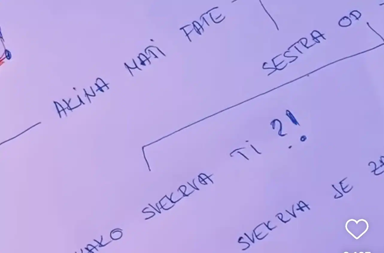 Ko su Akina majka, Zaova, Šaban i Fate?  Jeste li pokušali riješiti misterij razgovora dviju kovnica?