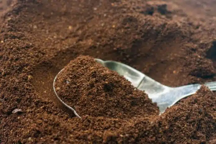 KAFA KAO OSVJEŽIVAČ ZRAKA I UBICA INSEKATA: EVO ZA ŠTA Kafa Kao Osvjezivac Zraka I Ubica Insekata Evo Za Sta