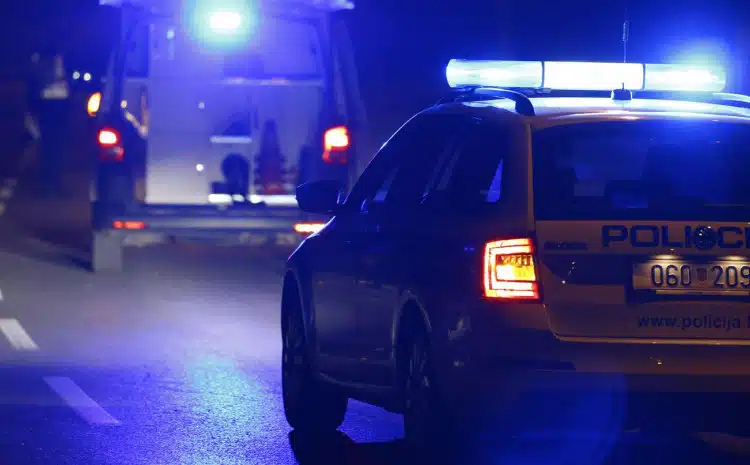 RADNIKU IZ BOSNE I HERCEGOVINE NISU PLATILI, PSOVAO IH PA ZAVRŠIO U ZATVORU