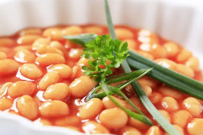 Recept Za Prebranac Iz Pecnice