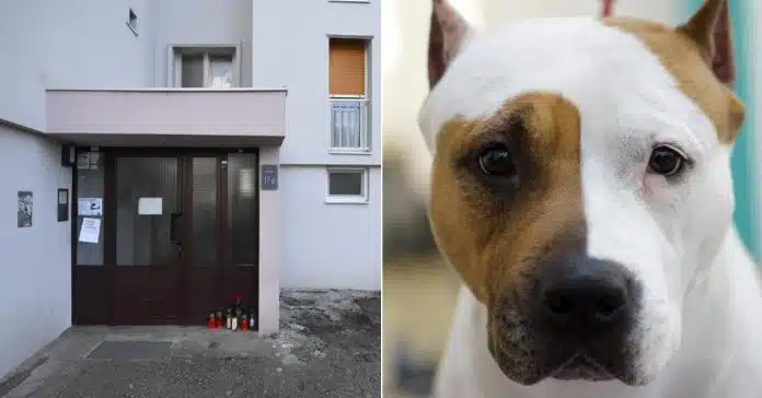 ‘Ne Spavam Ne Jedem Samo Placem Proganja Me Scena Kada