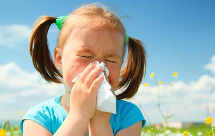 1712948967 Uz Ovih Pet Korisnih Savjeta Lakse Prebrodite Sezonu Proljetnih Alergija