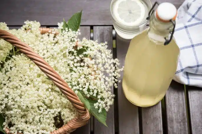 RECEPT ZA SOK OD ZOVE 40 CVJETOVA: PIO SE KAO 1714119070 Recept Za Sok Od Zove 40 Cvjetova Pio Se Kao