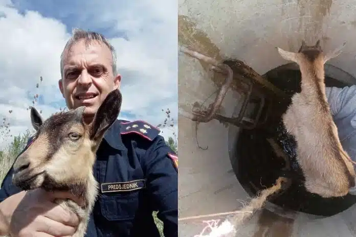 Ilidanski Vatrogasci Spasili Mladunce Koze Iz Bunara Ovo Je Dokaz