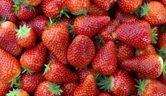Jagode Mogu Ostati Svjeze Danima Ako Ih Cuvate Na Ovaj