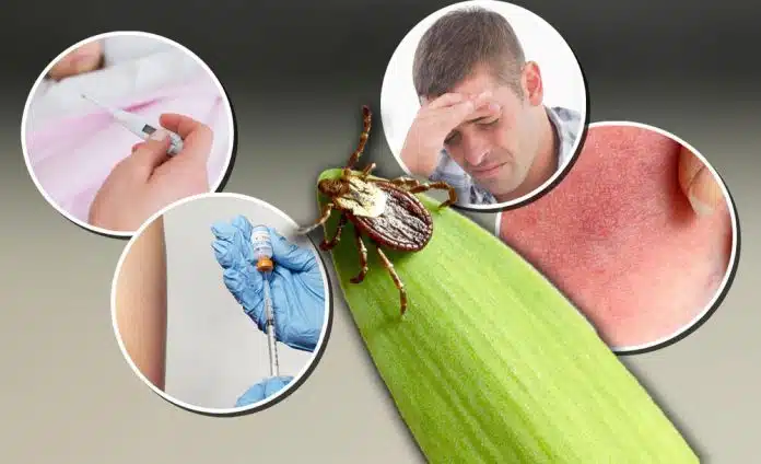 Obratite Paznju Na Krpelje Evo Kako Se Ponasati U Prirodi