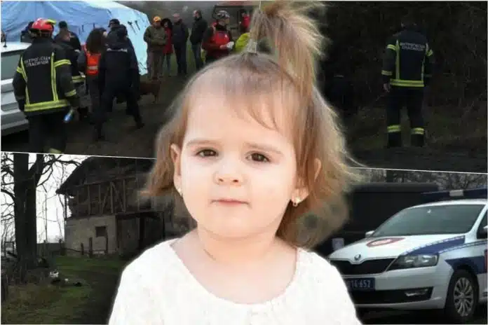 Oglasila Se Becka Policija O Nestanku Danke Ilic 2