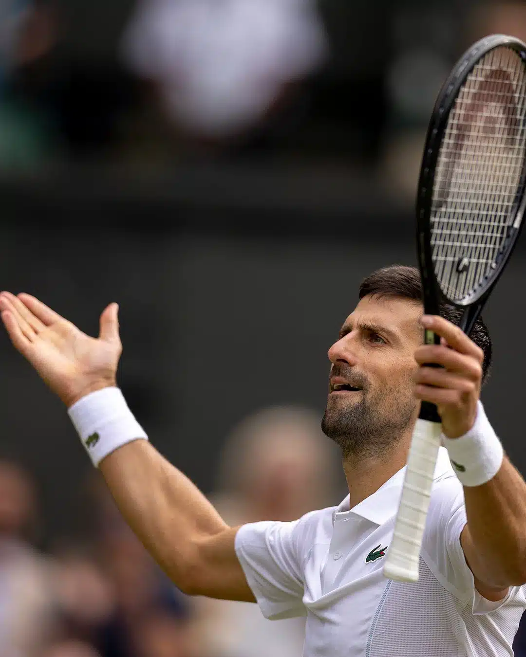 Đoković igra finale Wimbledona, očekuje se revanš protiv Alcaraza!