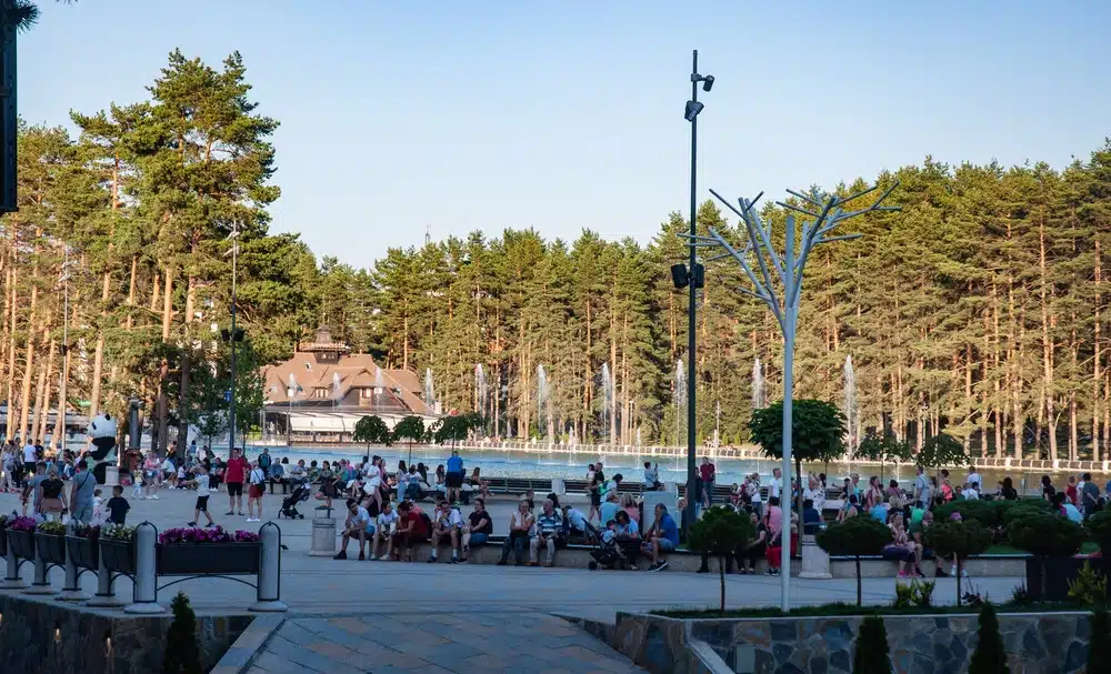 Najtužnija scena sa Zlatibora: Sramota bi bila ako bi životinje govorile