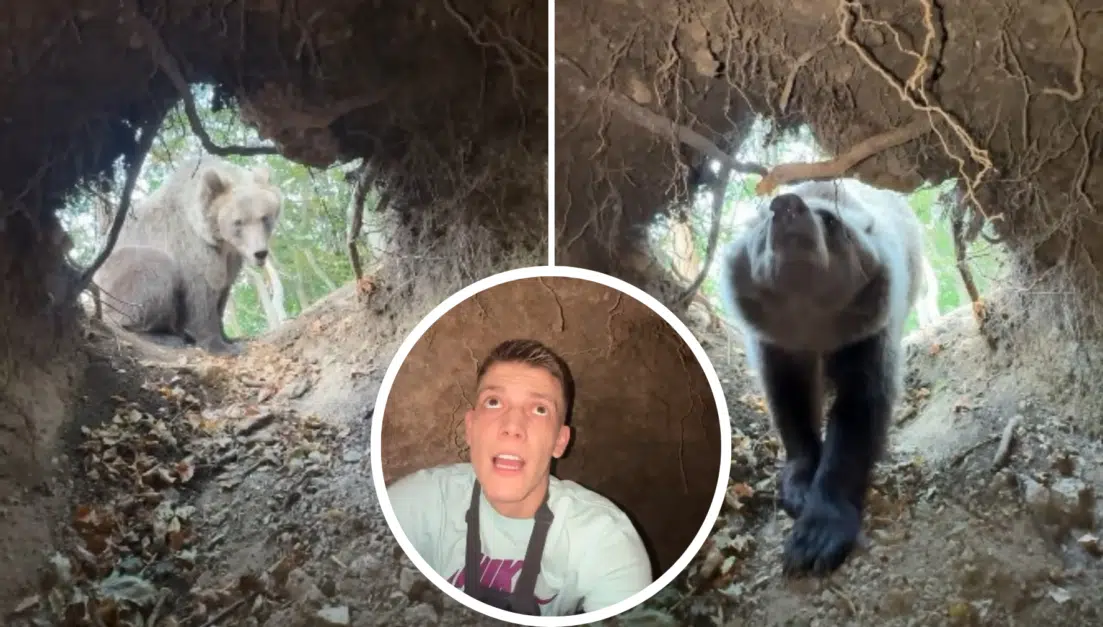 (UZNEMIRUJUĆI VIDEO) YouTube zvijezda Janko na ivici smrti: Poznati influencer susreo medvjeda u šumi