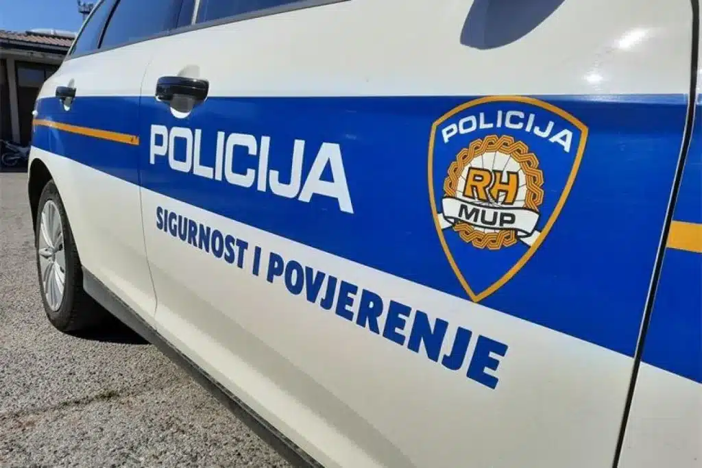 Poginuli mladić iz BiH u Istri: Pretjecao vozilo s isteklom prometnom dozvolom preko pune linije
