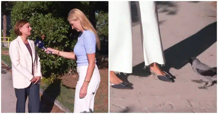 (VIDEO) Vrana napala HRT-ovu reporterku uživo, voditelji umirali od smijeha