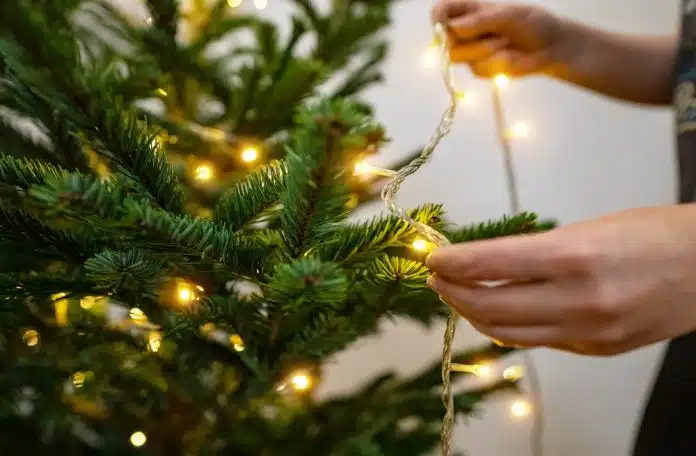 Većina ljudi cijeli život pogrešno postavlja svjetla za božićno drvce: