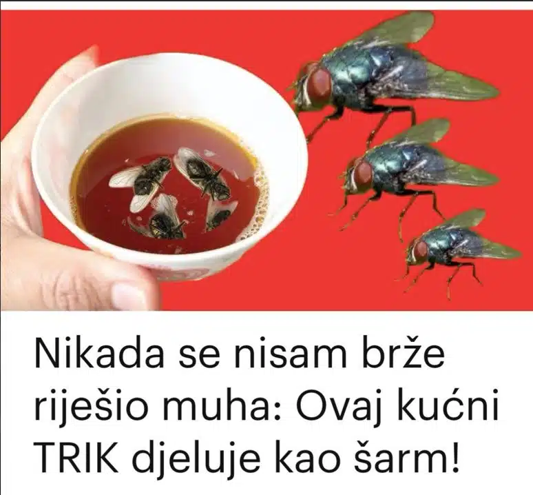 Nikada se nisam brže riješio muha: Ovaj kućni TRIK djeluje kao šarm!