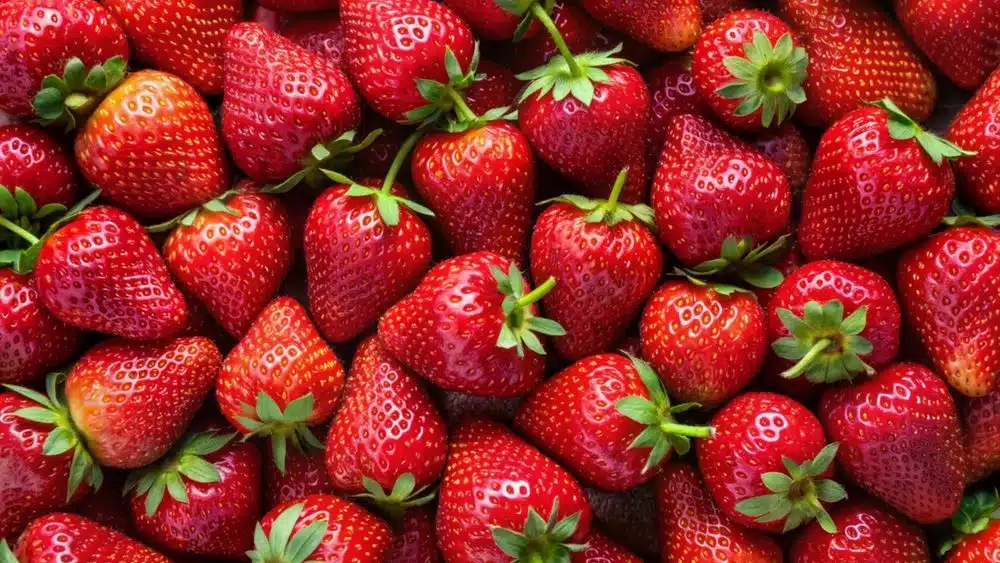 Kada kupujete jagode, obratite pažnju na ovih 7 stvari