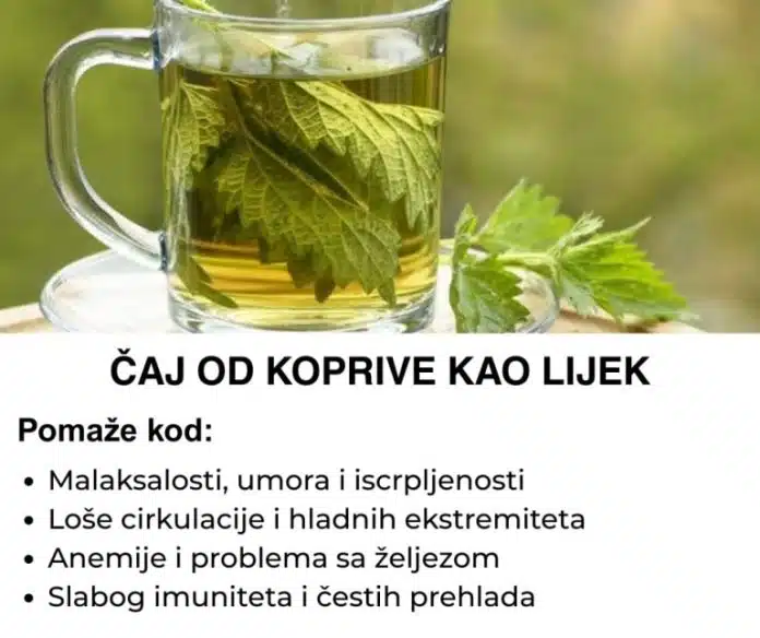 Čaj od koprive kao lijek – Evo kako se sprema
