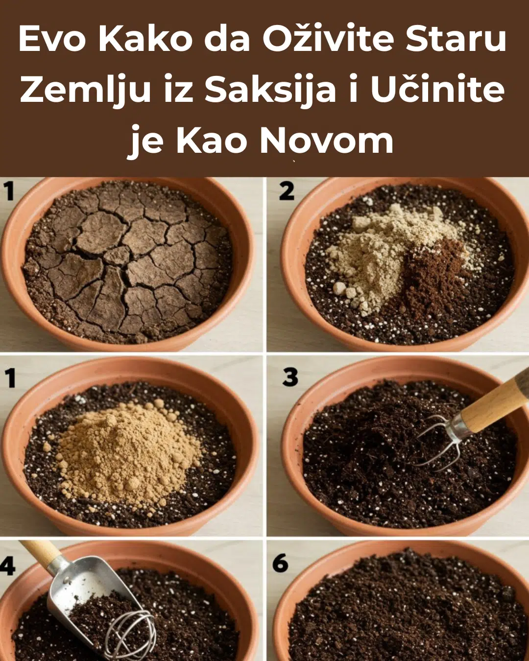 Evo Kako da Oživite Staru Zemlju iz Saksija i Učinite je Kao Novom
