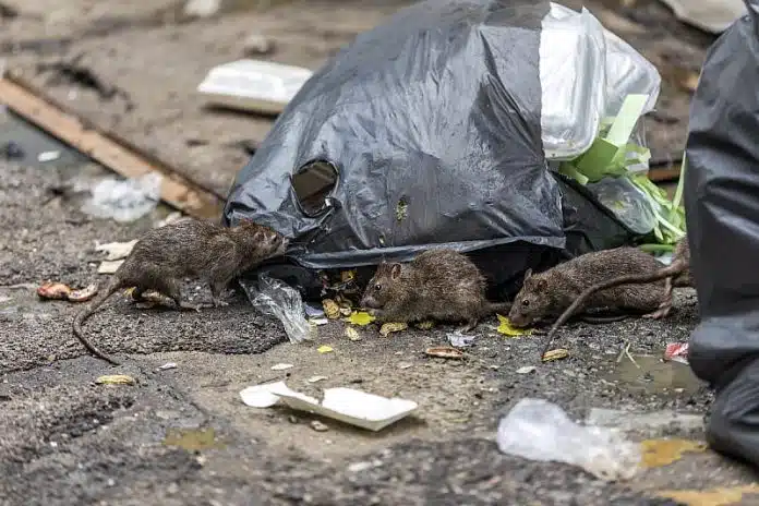 Izdate upute za zaštitu građana: Šta su uzroci i kako