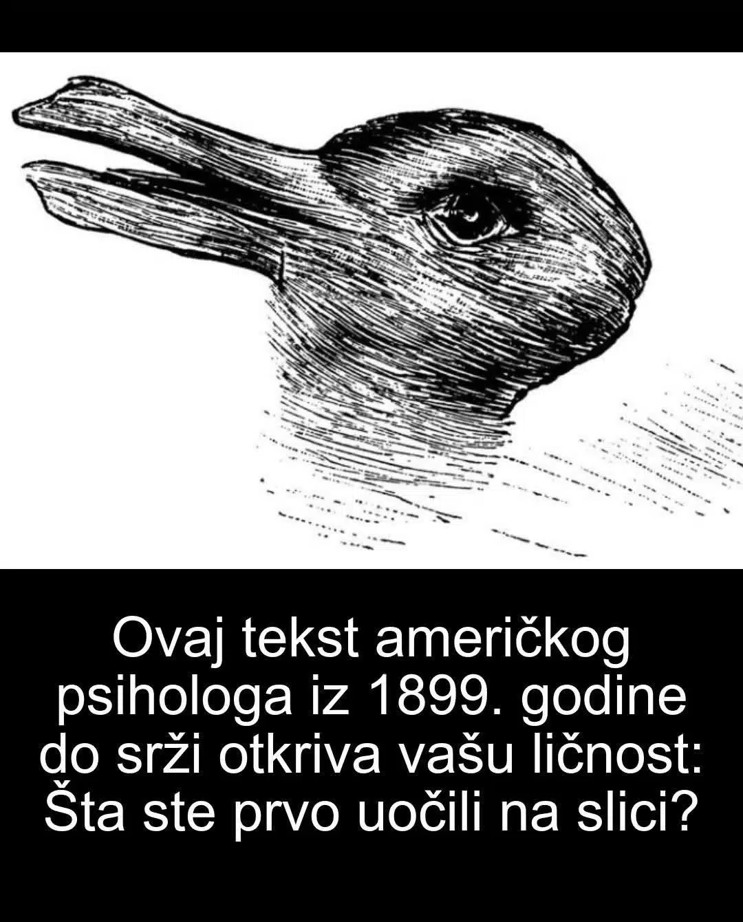 Ovaj tekst američkog psihologa iz 1899. godine do srži otkriva vašu ličnost: Šta ste prvo uočili na slici?