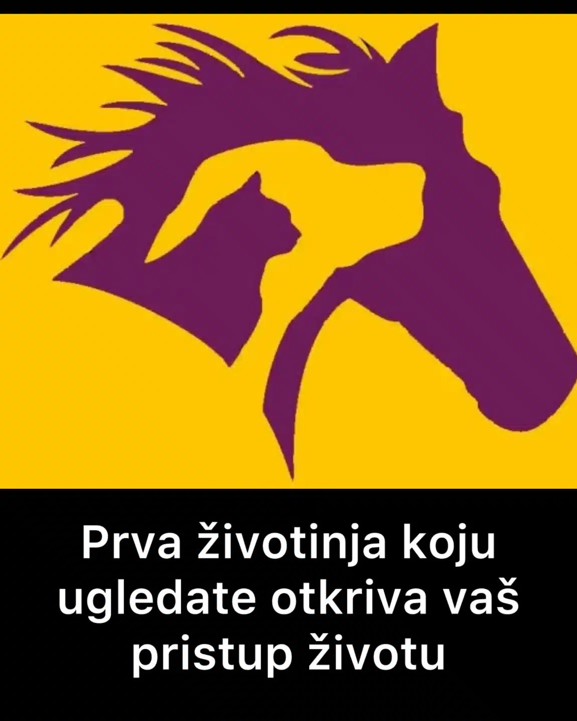 Šta ste prvo ugledali na slici? Otkrijte svoju duhovnu dominantu