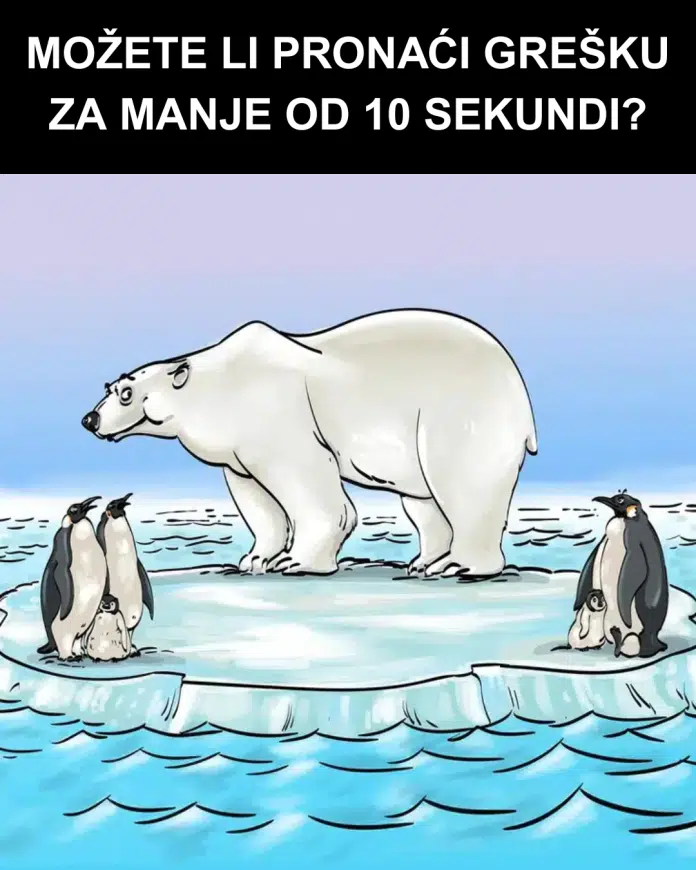 Test opažanja: Možete li pronaći grešku za manje od 10