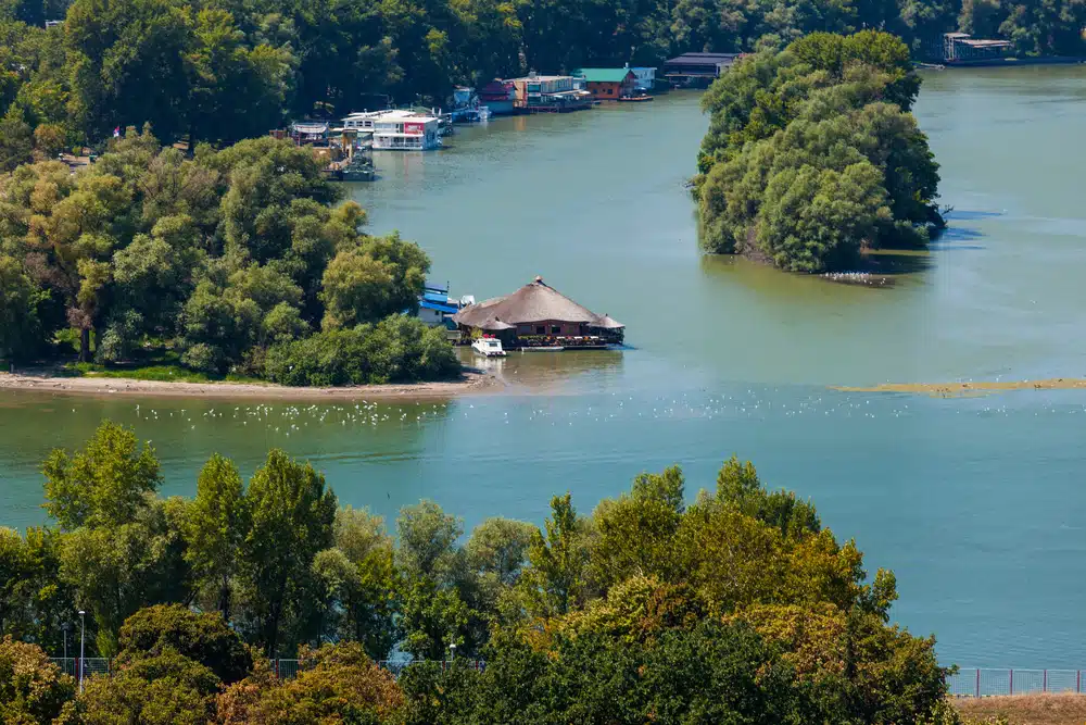 Ada Ciganlija nije samo raj za plivanje i roštilj: Beogradsko more skriva se rijetko čudesno prirode koja je na pragu izumiranja