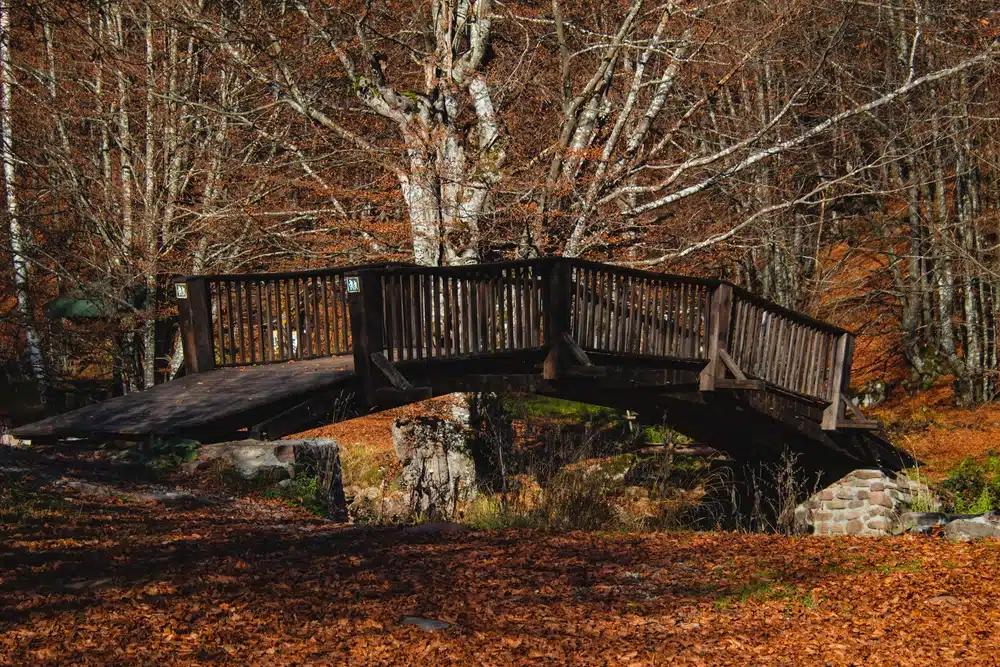 Corbish Bridge – jedno od neobičnih mjesta u Srbiji, koje kruže raznim legendama, i priče o mještanima ledene krvi u venama