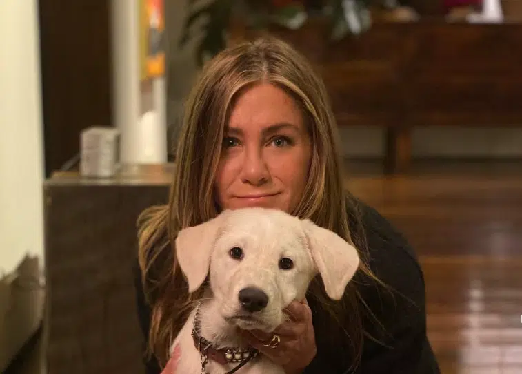 Jennifer Aniston otkrila zašto nikada nije usvojila dijete: “Sebično ili ne – tako je”