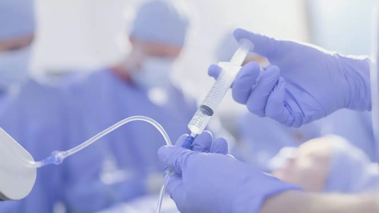 Najopasnija životinja na svijetu: Svake godine ubije više od 700.000 ljudi, a živi i kod nas