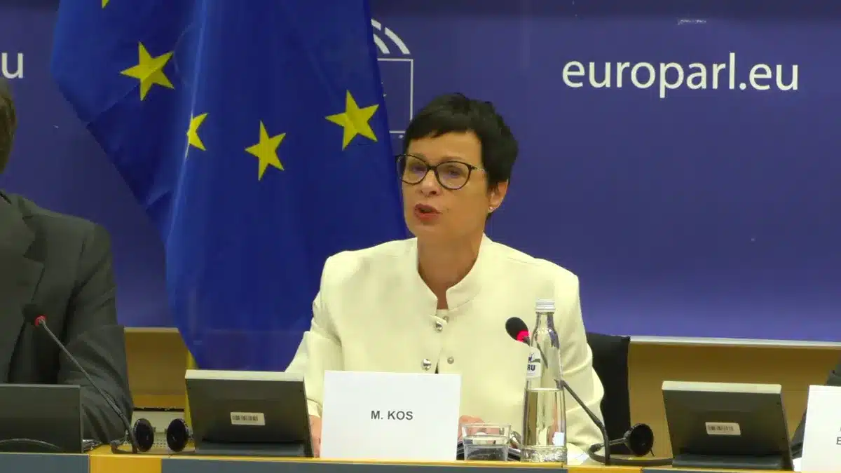 Kos: Crna Gora nikad bliža Evropskoj uniji, traži se potpuno usklađivanje s viznom politikom