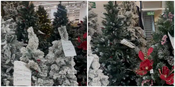 U prodavnici u centru Beograda pronašli jelku za 63.000 dinara: