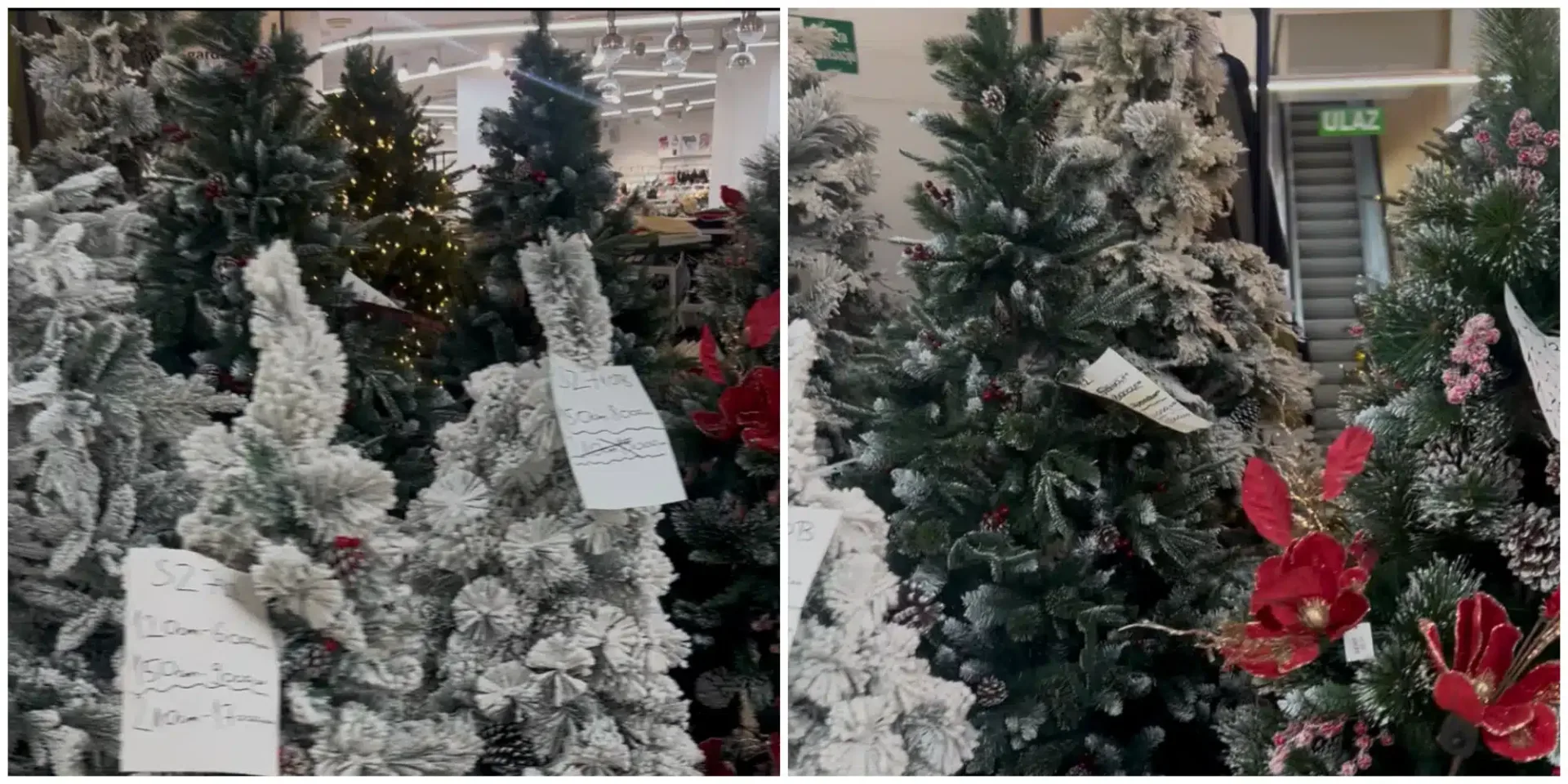 U prodavnici u centru Beograda pronašli jelku za 63.000 dinara: Ima i roze varijante, ali i jeftinije