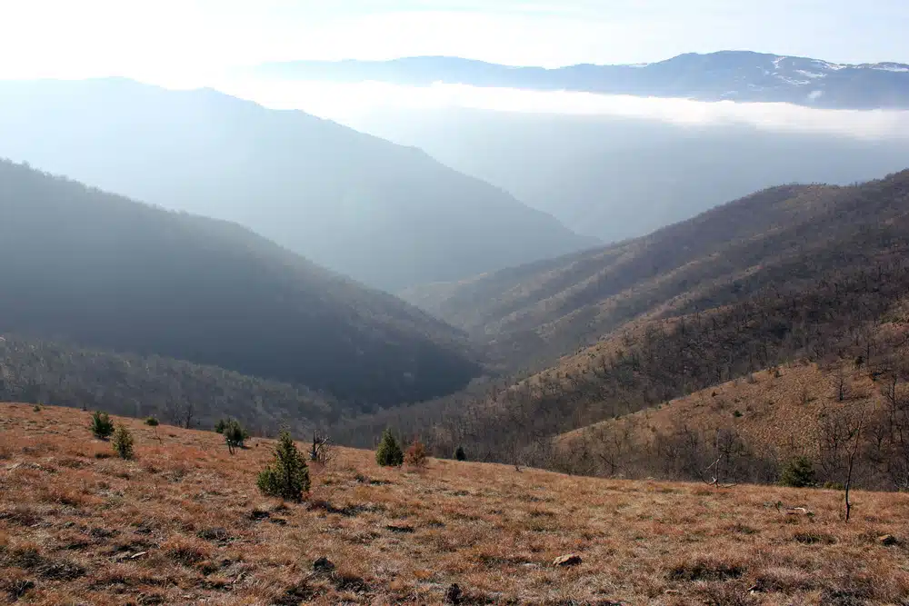Zapuštena planina poznata po divljim konjima i paraglajdingu čeka vas 3 sata od Beograda