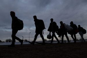 migranti