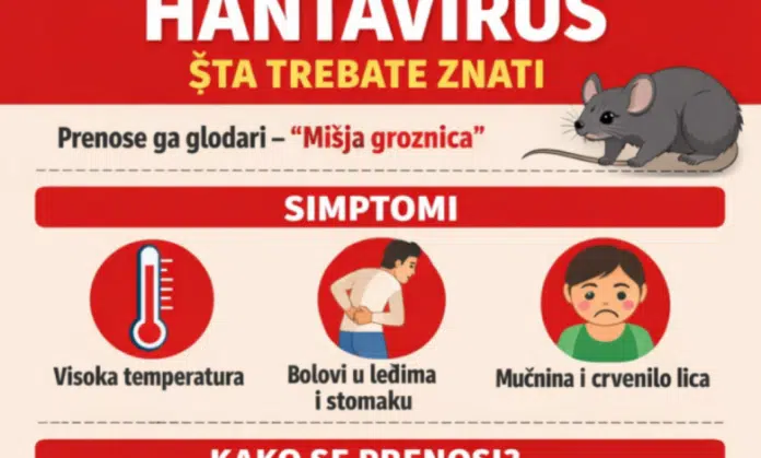 Zavod za javno zdravstvo KS: Hantavirus – Šta treba znati