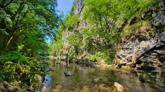 Ako ovog leta ne idete na more, imamo rešenje: Ova
