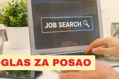 Ravnatelj, Zamjenik ravnatelja